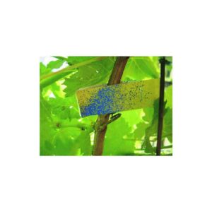 Papel Hidrosensible 76x26 (50 Unidades)