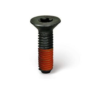 Tornillos para maq M2 TORX (bolsa 50) INFACO V258TF